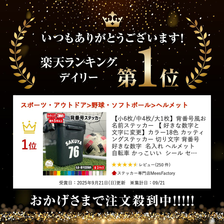 お名前ステッカー #NA002 Amazon.co.jp: 立体お名前ステッカー_苗字 - 漢字 黒ツヤ (GB10