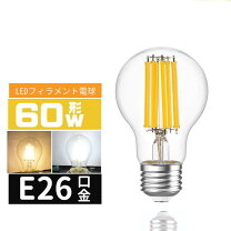 Amazon.co.jp : エジソン電球 LED クリア電球 G125 フィラメント
