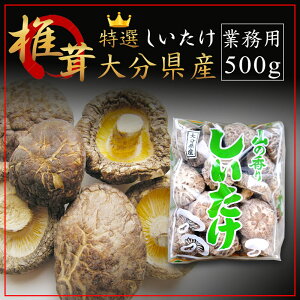 送料無料 大分県 【 特選どんこ椎茸 500g 】業務用 進物用 プレゼント にも最適