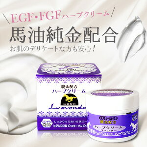 y EGFEFGFzn|uN| zEGFAFGFzŔ\ʂ̐Vӂ̊ƔɃn⏁!