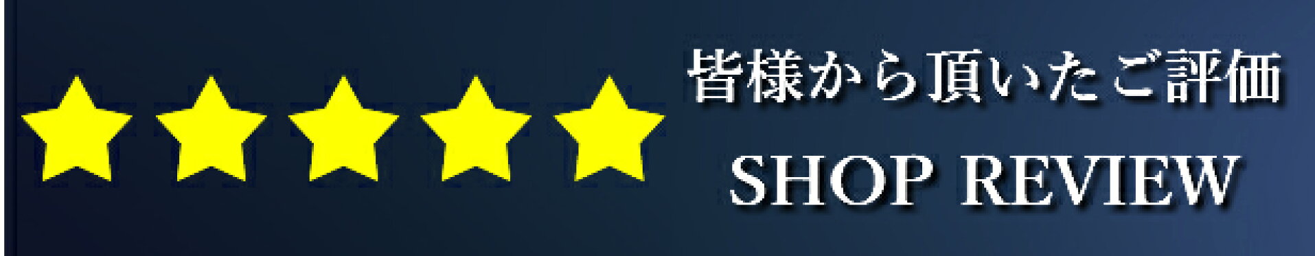 レビュー