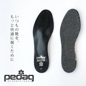 N[|Opedaq y_bNA[`T|[g U[C\[ SIESTA VGX^yASzyZKz(ASPD-SIESTA)yzy[֑300~z