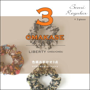 y܂ 3_Zbgzy܁oeB ^i[ VVzWINSOME Liberty oeB ^i[ Rbg VV y3_ZbgF܂ TCYIׂ遄llEe1