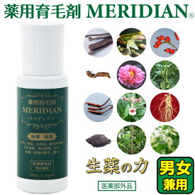 薬用育毛剤メリディアン 医薬部外品 MERIDIAN 男女兼用 男性用 女性用 レディース 育毛剤 発毛促進 薄毛 抜け毛 育毛 ふけ 頭皮 かゆみ 産後の脱毛 病後の脱毛 【送料無料】