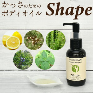 pShape{fBIC MERIDIAN A}  }bT[W IC ShapeiVFCvj {   ̘r  VRIC A ZCg ؓ ނ Sgp
