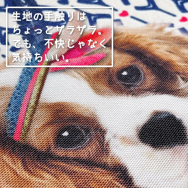 楽天市場 2 2 水 9 59まで使えるクーポン かわいい キャバリア ミニポーチ イヌ 好き 女子 に レディース 小物入れ フラットポーチ 化粧ポーチ おしゃれ 大人 可愛い プレゼント フランス 雑貨 ブランド リュシー ダンセット Lucie Dancette 犬柄 いぬ グッズ 干支