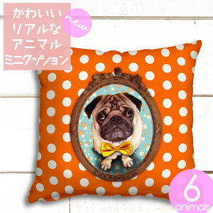 y|Cg3{z 킢 pO  ~j NbV y  z V[_Zbg LUCIE DANCETTE  CeA G \t@[     ANZg  yVLO3 Ck 