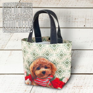 y|Cg3{27()2Iz gCv[h  ~j g[gobO V[_Zbg y  z LUCIE DANCETTE {^t ٓ  Ck D q  킢 fB[X NX