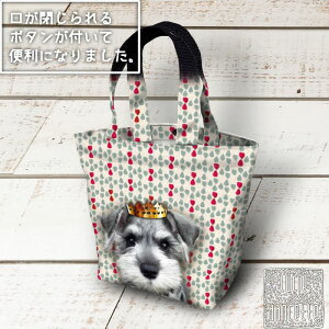 y|Cg3{27()2Iz ViEU[  ~j g[gobO y  z {^t V[_Zbg LUCIE DANCETTE ٓ ɂ Ck D q  킢 fB[X 