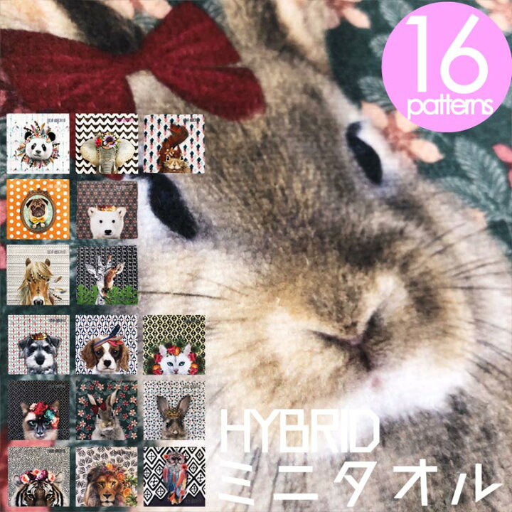 新品Lucie dancetteハイブリッドタオルハンカチラビット - ハンカチ