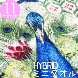 【ポイント3倍開催中。5/27(月)9時まで】 クジャク ミニタオル メール便 ランキング3位 くじゃく 好き かわいい ハンドタオル プレゼント レディース 20cm 柔らかい マイクロファイバー 高吸水 ハンカチ リュシーダンセット 雑貨 孔雀 柄 グッズ お返し お礼 お 祝い