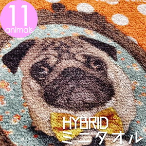 new 킢 pO ObY ~j ^I nJ` y܂Ƃ߂Ă 3~ȏ  z _炩 }CNt@Co[ pCn nCubh fB[X 20cm nh^I Ck D  