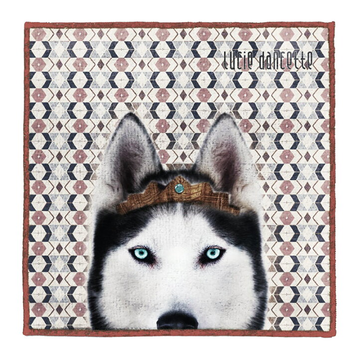 楽天市場 5 Offクーポン21 月 朝まで メール便 ハスキー犬 ミニ タオル ハンカチ イヌ 好き 女子 プレゼント かわいい レディース cm ハンドタオル 柔らかマイクロファイバー 吸水性 犬 柄 戌年 干支 グッズ フランス おしゃれ 雑貨 リュシーダンセット 日本製