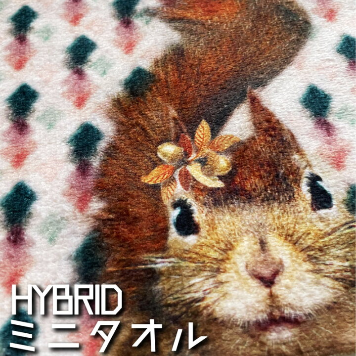 楽天市場】リス ミニタオル リュシーダンセット 【ポイント2倍 開催中