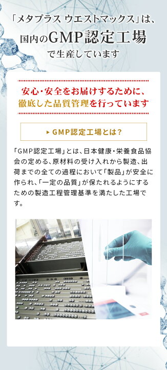 楽天市場】【公式】 メタプラス ウエスト マックス 93粒 31日分 大容量 お徳用 メタボリック | 内臓脂肪 サプリメント 体脂肪 サプリ エラグ酸 アフリカマンゴノキ Lカルニチン キャンドルブッシュ 機能性表示食品 血中中性脂肪 体重 お腹の周囲径 女性 男性 ...