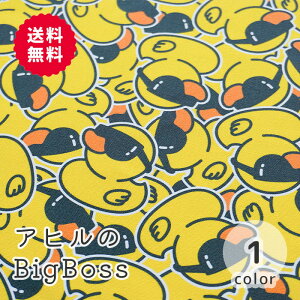y50cm10cmPʁz IbNX sAqBigBosst Aq Aq @ Aj} 싅 ʔ V[ CXg |bv rrbhJ[ RR]  qǂ w z n {
