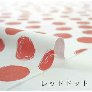 y50cm10cmPʁz IbNX sjeBhbg 1t n hbg  啿 􉽊w͗l ` t x[VbN  mg[ Vv  JCC w ̎q j̎q z n 