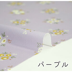 y50cm10cmPʁz IbNX s킢ԑt ԕ {^jJ A ԑ u[P pXe ݃J[ l 킢  z n j̎q w ̎q  z n { Gt