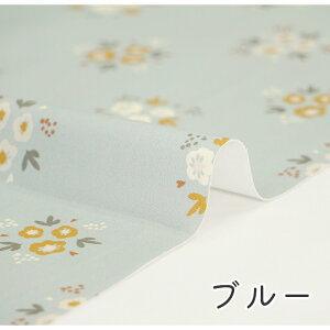 y50cm10cmPʁz IbNX s킢ԑt ԕ {^jJ A ԑ u[P pXe ݃J[ l 킢  z n j̎q w ̎q  z n { Gt