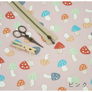 y50cm10cmPʁz IbNX sLmR̗t LmR ̂ LmR }bV[ Hו  CG[ sN }[^ |bv Jt w j[N 킢 z n I