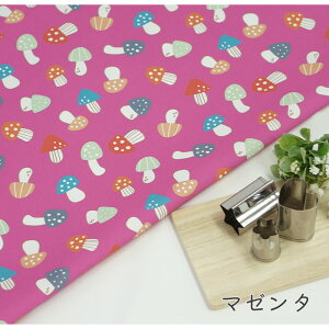 y50cm10cmPʁz IbNX sLmR̗t LmR ̂ LmR }bV[ Hו  CG[ sN }[^ |bv Jt w j[N 킢 z n I