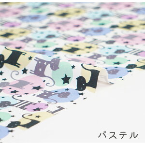 y50cm10cmPʁz IbNX s˂̃~[t lR L ˂ L L LACe  Aj}  Ln  rrbh pXe Jt L[g ̎q j̎q 킢 z 