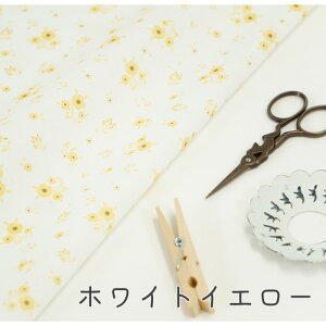 y50cm10cmPʁz V[`O su[~Ot[t ԕ ԕ A F sN CG[ x[W zCg pXe D Vv  xr[ Ԃ ̎q j̎q z 