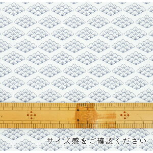 y50cm10cmPʁz V[`O sWASABIV[Y2t a Cg V { Japanese pattern `͗l traditional ʂ _ a_ a Vv  Ղ 킢 z n IWi