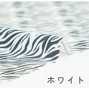 y50cm10cmPʁz IbNX sV}E} 1t [u [u͗l g Aj} XCJ  Tt@ mg[ S̃pc RX`[ ߑ  RXv JCC z n