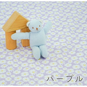 y50cm10cmPʁz V[`O s}[Kbgt ԕ A t[ {^jJ ؏te fCW[ ЂȂ pXeJ[ ݃J[ w L[g JCC z n { G