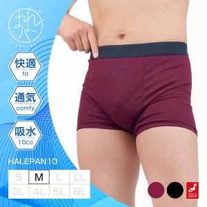 փpc ARpc jp {NT[pc Y ǂR AW~h~ 傢 Ԃ炵 т A h { zpc ͂p 10cc MTCY | 