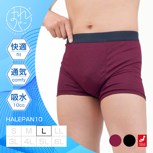 փpc ARpc jp {NT[pc Y ǂR AW~h~ 傢 Ԃ炵 т A h { zpc ͂p 10cc LTCY | 