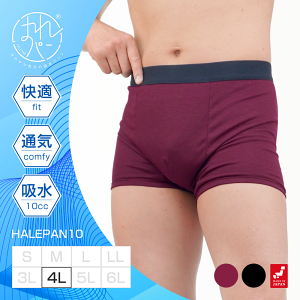 փpc ARpc jp 傫TCY {NT[pc Y ǂR AW~h~ 傢 Ԃ炵 т A h { zpc ͂p 10cc 4LTCY | 