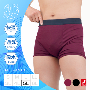 փpc ARpc jp 傫TCY {NT[pc Y ǂR AW~h~ 傢 Ԃ炵 т A h { zpc ͂p 10cc 5LTCY | 
