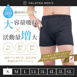 ARpc փpc jp {NT[pc Y eʃ^Cv A h {  zpc ͂p 360 300cc STCY | 