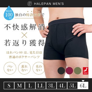 ARpc jp 傫TCY փpc {NT[pc Y eʃ^Cv A h { zpc ͂p 80 100cc 6LTCY | [֑