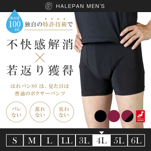 փpc jp 傫TCY ARpc {NT[pc Y eʃ^Cv A h { zpc ͂p 80 100cc 4LTCY | [֑
