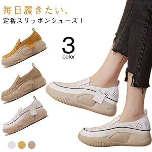  RtH[gV[Y    Xb| q[4cm Xj[J[ fB[X ʋC V[Y C gAbv y y Xb|  C [q[ Xj[J[ 