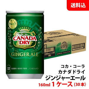 yGg[Ń|Cg10{zJi_hC WW[G[ 160ml 1P[X(30{) yRJER[z [J[ 