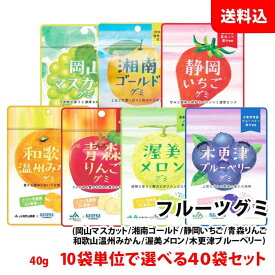 送料無料 フルーツグミ 40袋セット 10個単位で選べる まとめ買いセット ラブレ乳酸菌 ジュレ果汁入り 果汁ぐみ カネカ食品 JA 共同開発 ご当地 お菓子