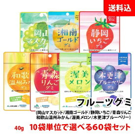 送料無料 フルーツグミ 60袋セット 10個単位で選べる まとめ買いセット ラブレ乳酸菌 ジュレ果汁入り 果汁ぐみ カネカ食品 JA 共同開発 ご当地 お菓子