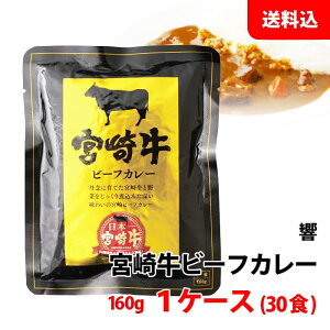 yGg[Ń|Cg10{z {苍 r[tJ[ 1P[X (160g×30H) ܂Ƃߔ n ggJ[ h 퉷 pE` ()  