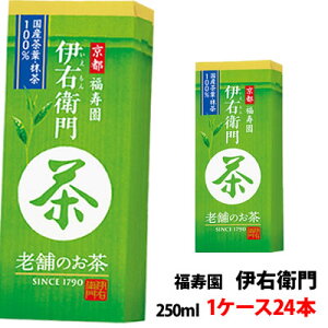 Tg[ Β ɉEq pbN250ml 1P[X(24{)` pbN