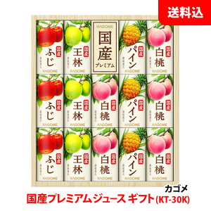 Ε JS Yv~A KT-30K 1 W[X Mtg Gߌ 蕨 v[g yY pbN J[g  KAGOME GIFT