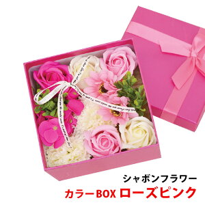 V{t[ J[BOX [YsNy  Ό 蕨 \[vt[ t[Mtg z