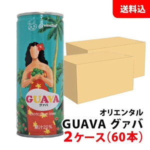 y FRUIT DRINK GUAVA z  IG^ O@o 2P[X(60{) O@o[ t[cW[X  250g