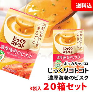  RgRg ZCṼrXN |^[W 20 (60H) |bJTb| X[v Zbg pokka |^[W 