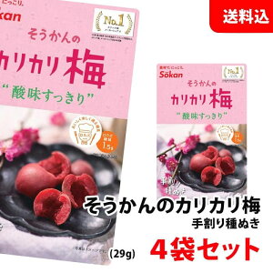  [ 芄 肩~ ʂ 29g×4܃Zbg `Ƃ_` JJ~ 픲  s