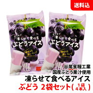 送料無料 メール便 凍らせて食べるアイス ぶどう 2袋セット (1袋:4本入) 国産ぶどう果汁使用 ブドウ アイ…