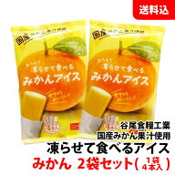 送料無料 メール便 凍らせて食べるアイス みかん 2袋セット (1袋:4本入) 国産みかん果汁使用 ミカン アイ…